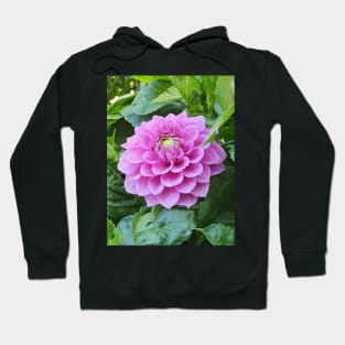 Light Pink Dahlia Hoodie